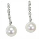 Pendientes Transit