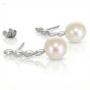 Pendientes Transit