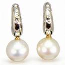 Pendientes Guinea