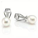 Pendientes Ser